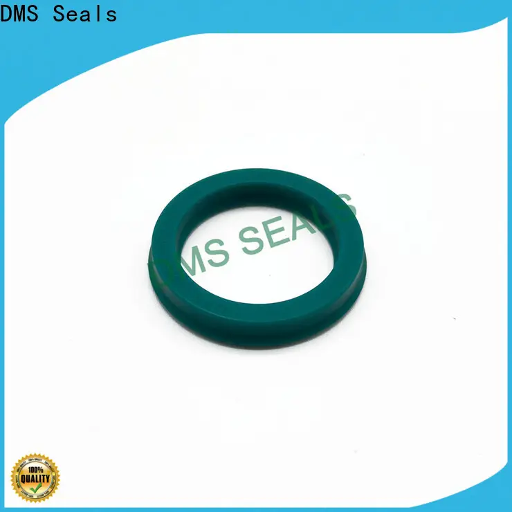DMS Seals hydraulic cylinder piston factory price for larger piston clearance 1