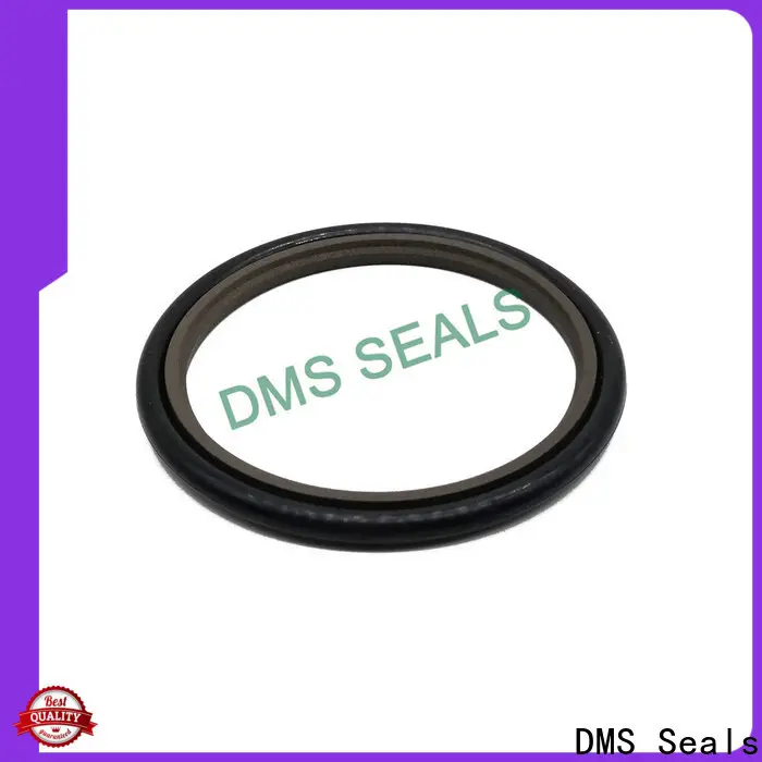 DMS Seals Wholesale hydraulic cylinder seals manufacturer for sale 1