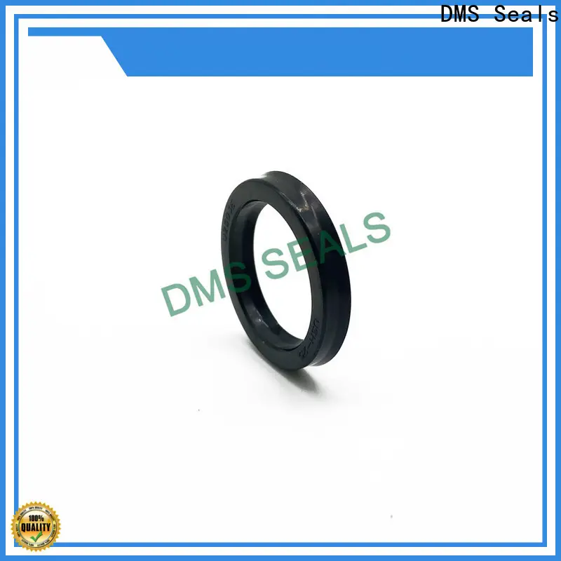 DMS Seals Custom oil seal measurements supplier for housing 1