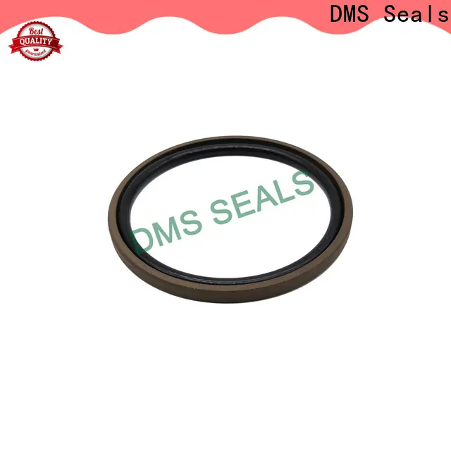 DMS Seals hydraulic ram seals online to high and low speed 1