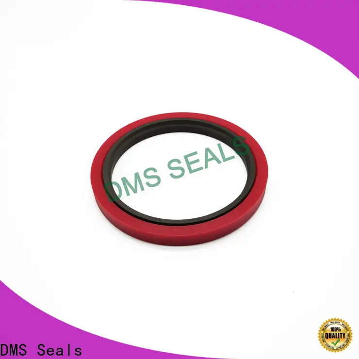 DMS Seals molded seals factory to high and low speed 1