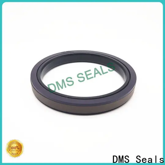 DMS Seals DMS Seals seals for hydraulic pumps factory for pneumatic equipment 1