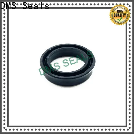 DMS Seals buy mechanical seal wholesale for larger piston clearance 1