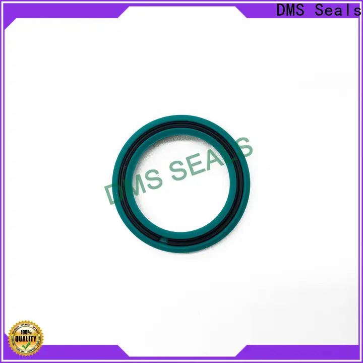 DMS Seals seals gaskets suppliers company 1