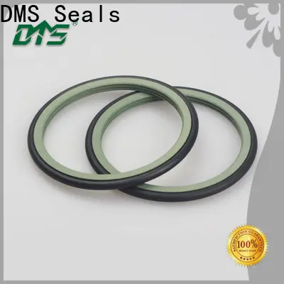 DMS Seals watertight shaft seal company for construction machinery 1