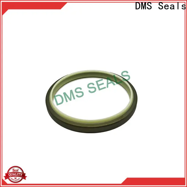 DMS Seals molded rubber seals 1