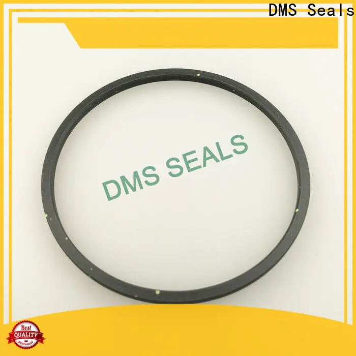 DMS Seals industrial rubber seal vendor for piston and hydraulic cylinder 1