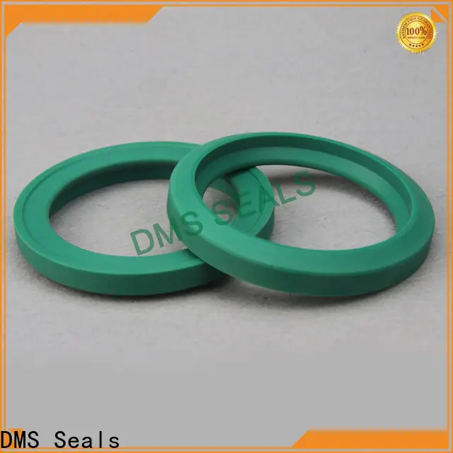 DMS Seals Quality viton oil seal manufacturers supply for piston and hydraulic cylinder 1