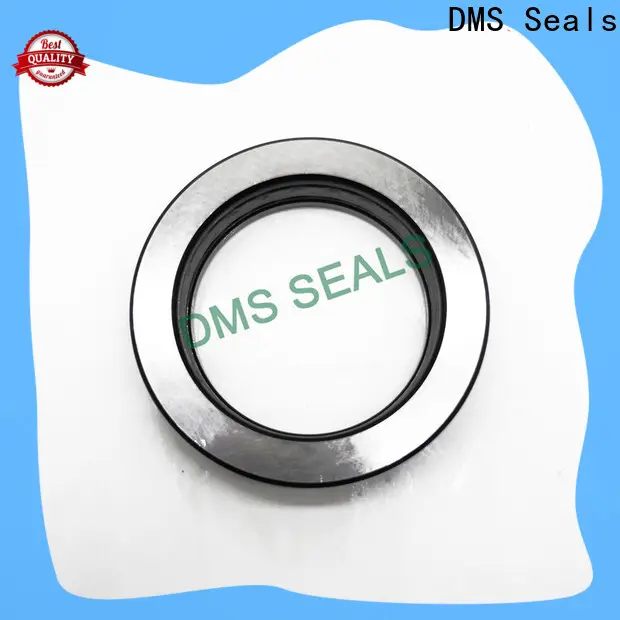 Quality door seal suppliers factory for larger piston clearance 1