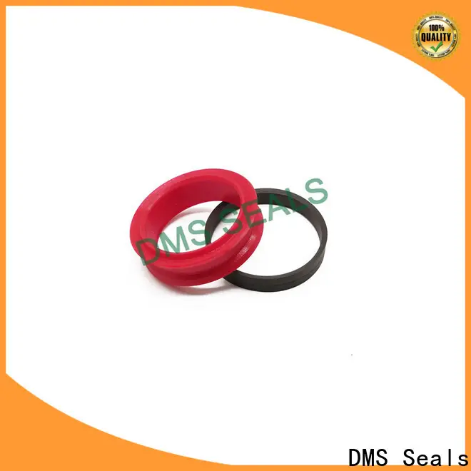 DMS Seals kit seal cylinder supplier for light and medium hydraulic systems 1