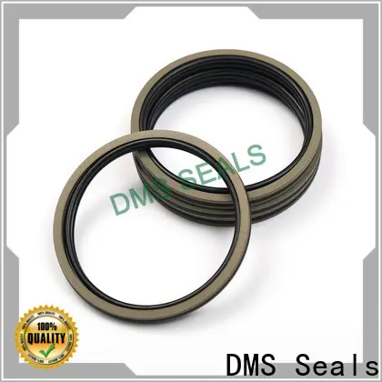 DMS Seals Wholesale rubber seals for fluid and hydraulic systems supplier for sale 1