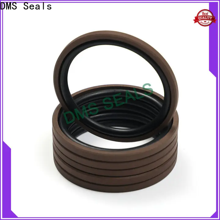 DMS Seals Top rubber piston rings vendor for sale 1