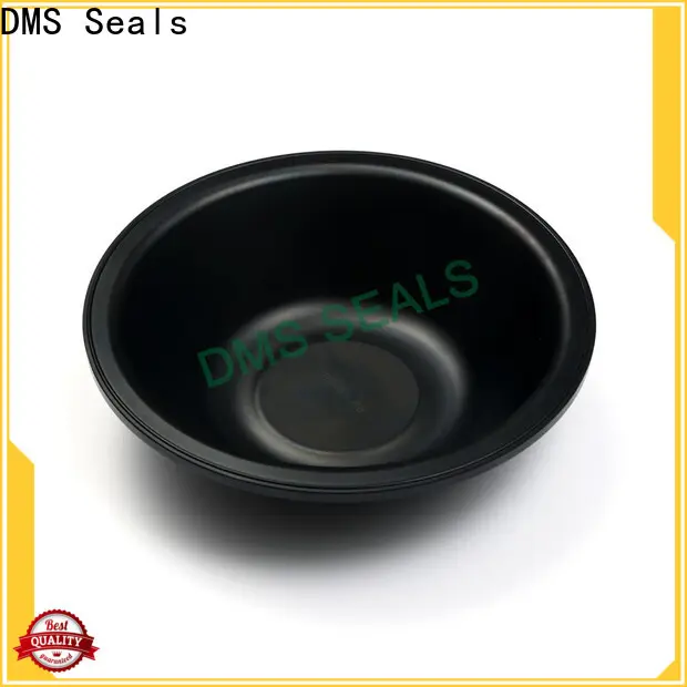 DMS Seals natural rubber seal factory for leakage gap 1