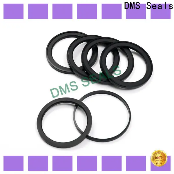 DMS Seals buffer seal hydraulic supplier for light and medium hydraulic systems 1