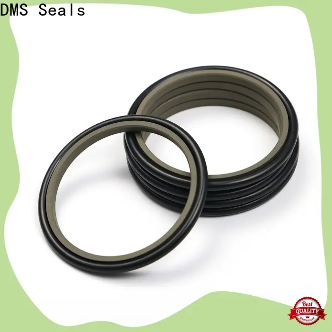 DMS Seals rod seal tool supplier for pressure work and sliding high speed occasions 1