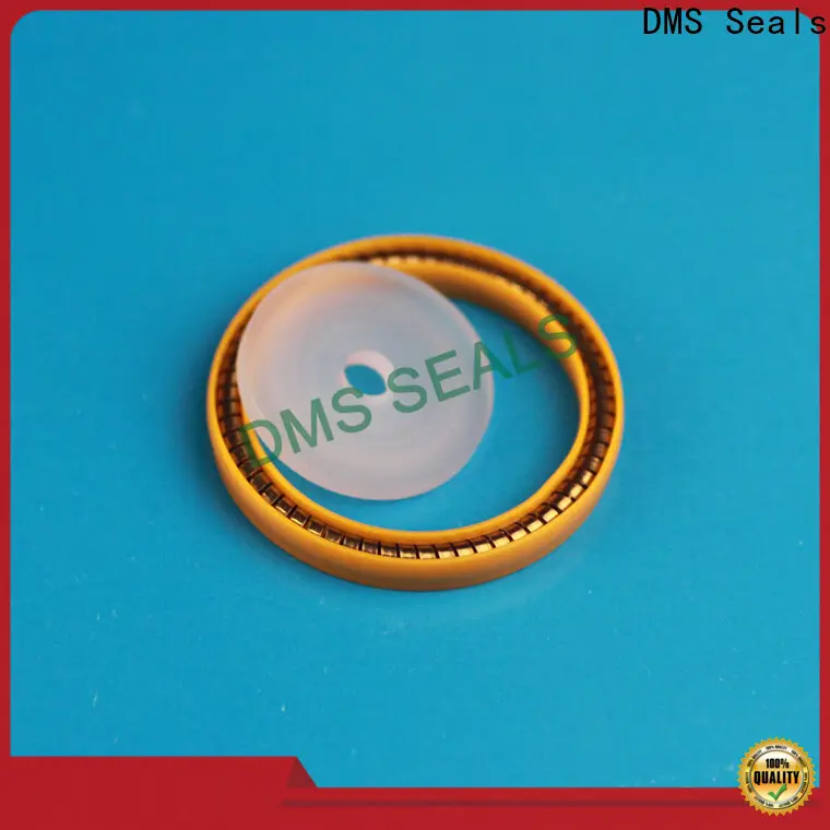 DMS Seals abs mechanical seal price 1