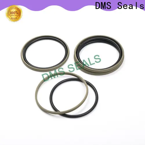 DMS Seals Top hydraulic seals companies factory price for pneumatic equipment 1