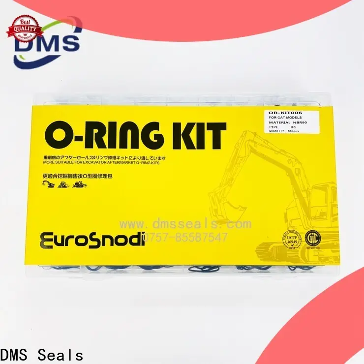 DMS Seals High-quality o ring mould factory For sealing 1