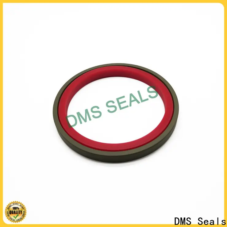 DMS Seals Best shaft wiper seal factory for pressure work and sliding high speed occasions 1