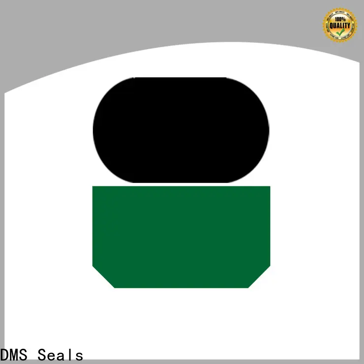 DMS Seals hydraulic oil seal manufacturers company for pressure work and sliding high speed occasions 1