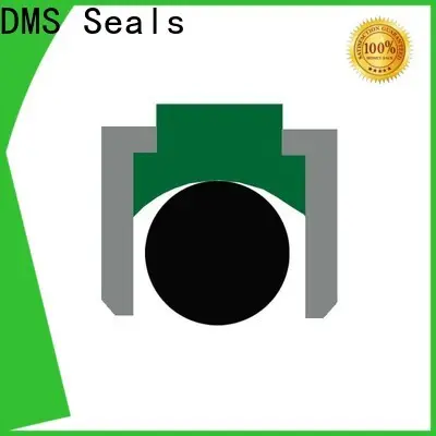 DMS Seals Best air cylinder piston seals price for sale 1