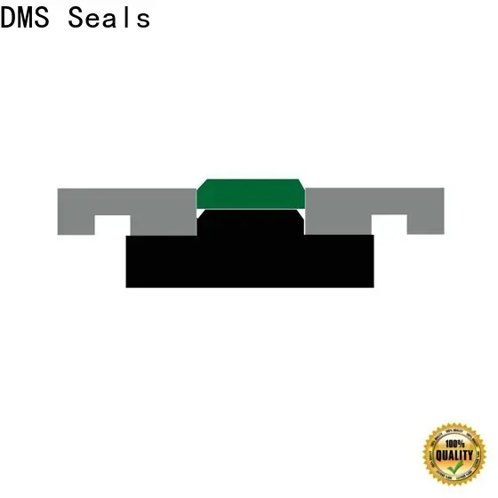 DMS Seals DMS Seals hydraulic rod seal installer company for pneumatic equipment 1