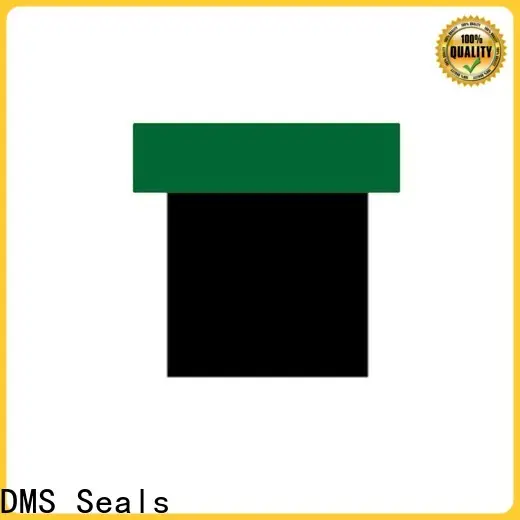 DMS Seals Top hydraulic piston seal installation factory for light and medium hydraulic systems 1
