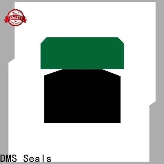 DMS Seals hydraulic cylinder piston seal leakage for light and medium hydraulic systems 1