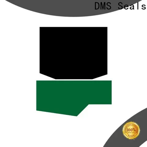 DMS Seals hydraulic cylinder seal design company for pressure work and sliding high speed occasions 1