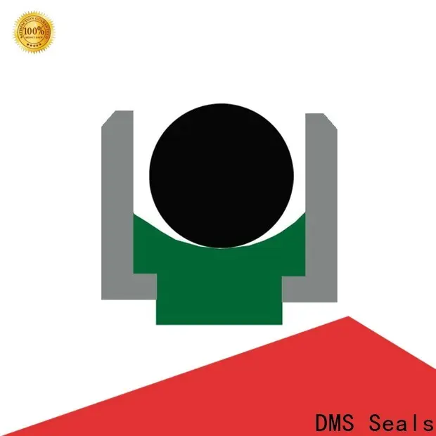 DMS Seals rod seal design factory price for sale 1