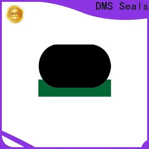 DMS Seals custom oil seals supply to high and low speed 1