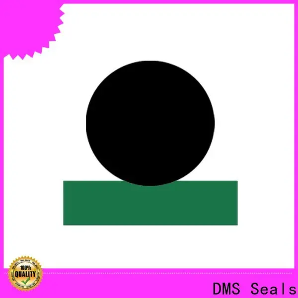 DMS Seals rod seals or piston seal price to high and low speed 1