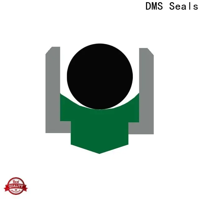 DMS Seals Latest oil seal packing cost for construction machinery 1