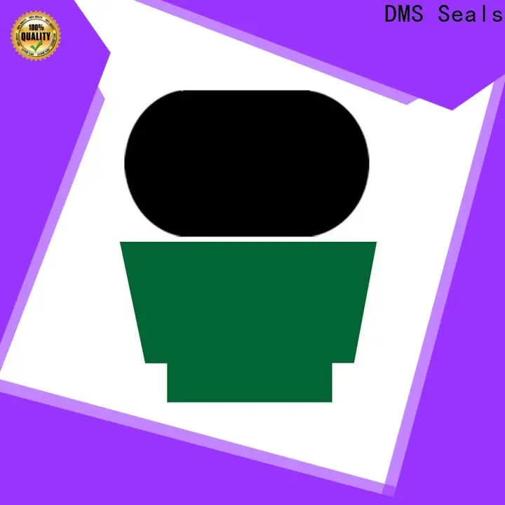 DMS Seals pneumatic seal kit factory for pressure work and sliding high speed occasions 1
