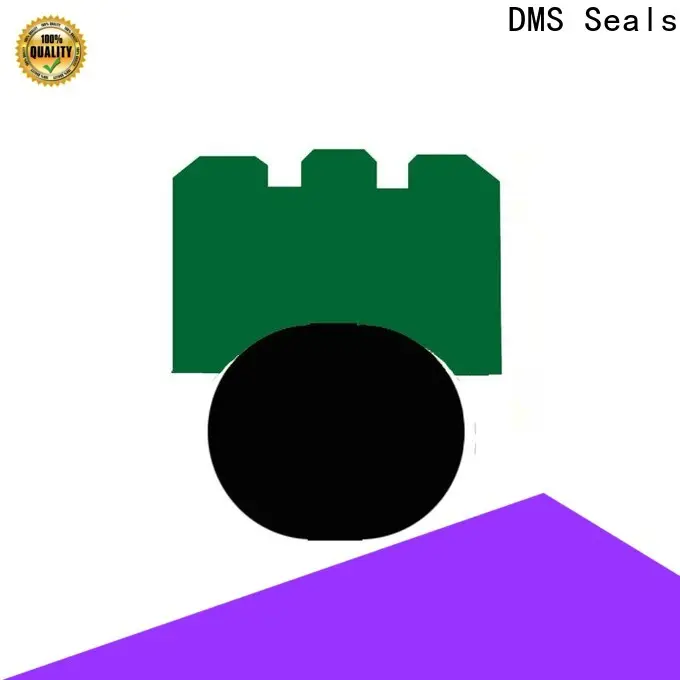 DMS Seals DMS Seals double oil seal factory for automotive equipment 1