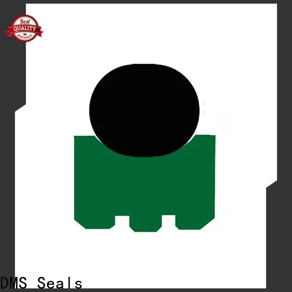 DMS Seals piantk oil seal vendor for automotive equipment 1