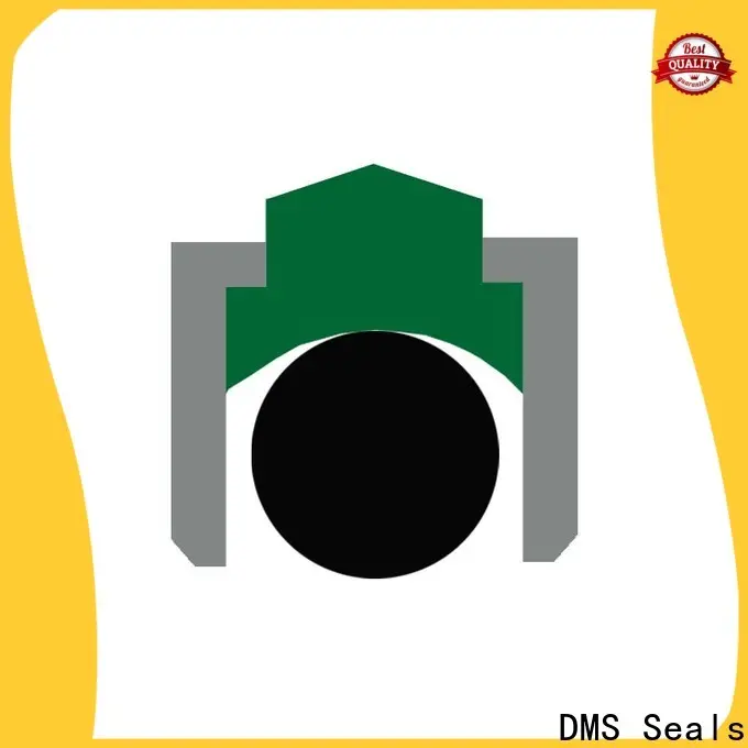 DMS Seals DMS Seals viton rotary shaft seals company for construction machinery 1