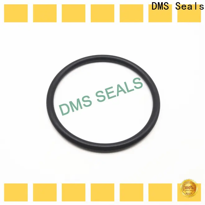 DMS Seals specialty o rings supply in highly aggressive chemical processing 1