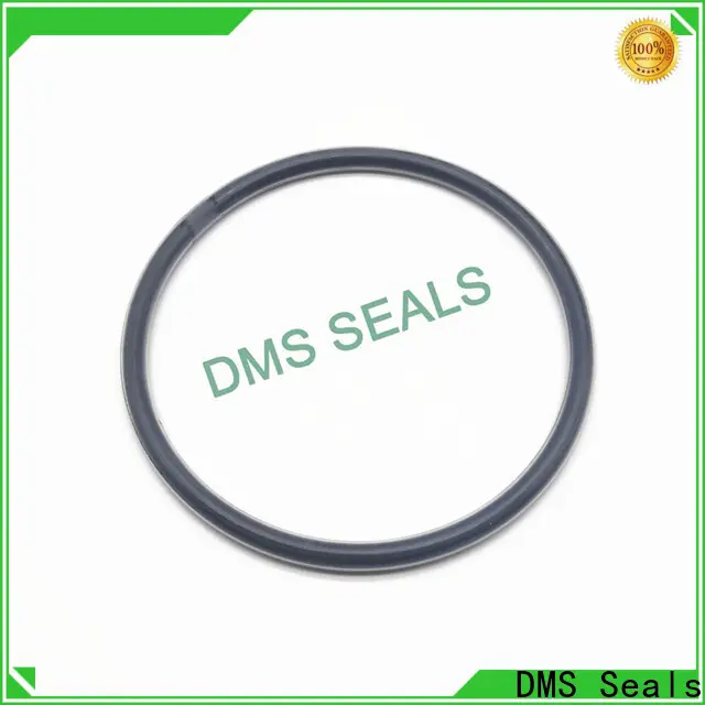 DMS Seals rectangular o ring seal wholesale for sale 1