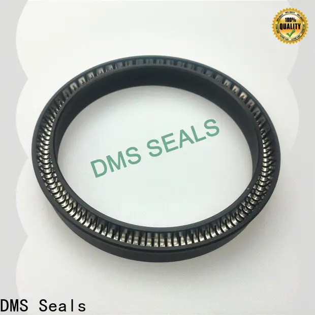 Custom loaded lip seal manufacturer for aviation 1