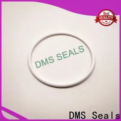Top o ring coating for sale in highly aggressive chemical processing 1