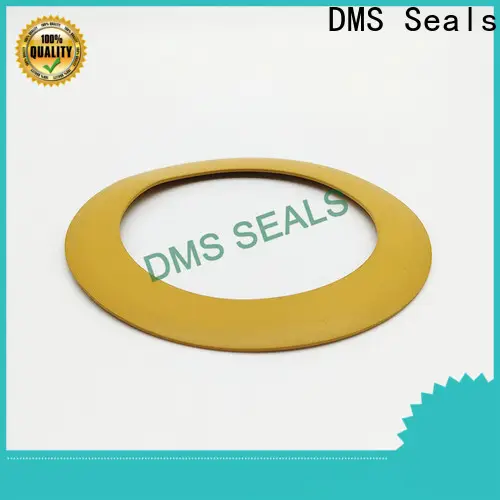 DMS Seals Latest flexible rubber gasket factory price for liquefied gas 1