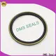 DMS Seals bearing seal manufacturers supplier for larger piston clearance 1