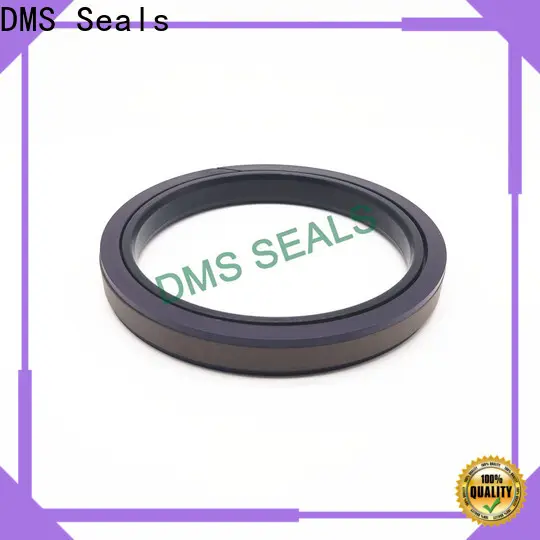 DMS Seals hydraulic oil seal wholesale 1