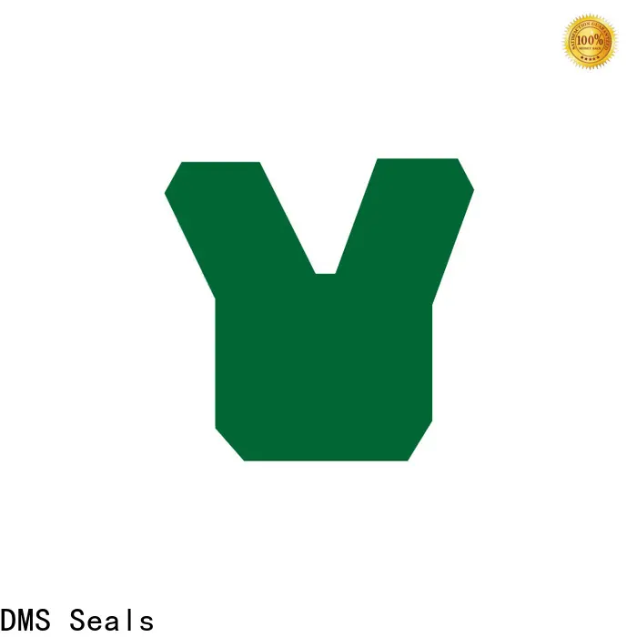 DMS Seals metric hydraulic cylinder seals manufacturer for sale 1