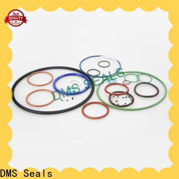 DMS Seals 117 o ring price in highly aggressive chemical processing 1