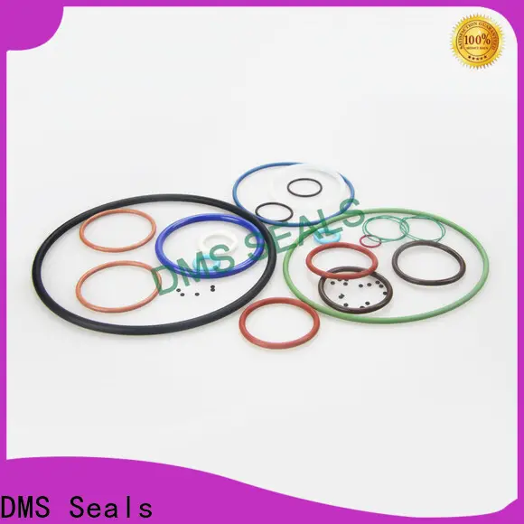 DMS Seals 25mm rubber o rings for sale in highly aggressive chemical processing 1