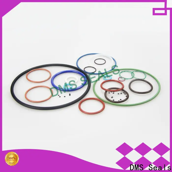 DMS Seals colored silicone o rings factory for static sealing 1
