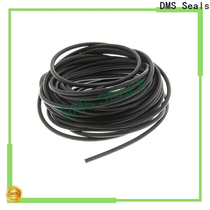 DMS Seals New o ring seal sizes company in highly aggressive chemical processing 1
