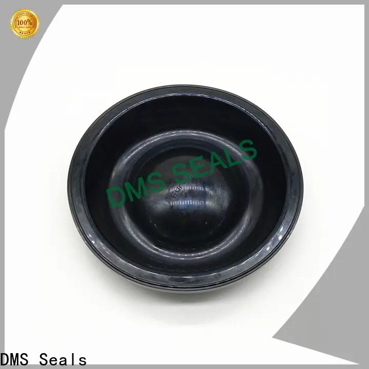 DMS Seals rubber and rubber products company for high pressure 1